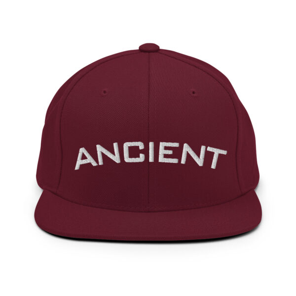 "Ancient" (Psalms 77:5) Snapback Hat - Image 15