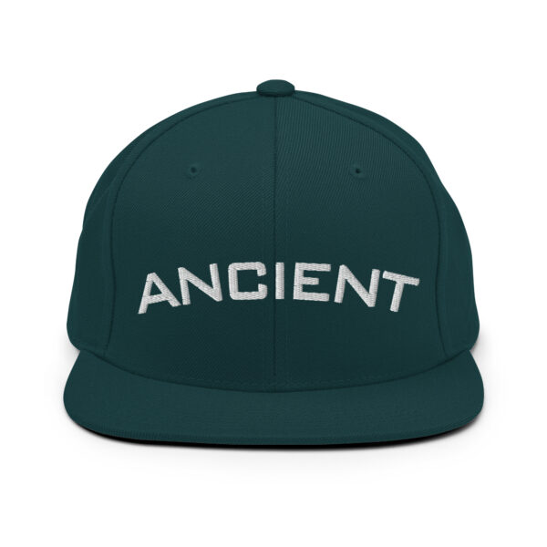 "Ancient" (Psalms 77:5) Snapback Hat