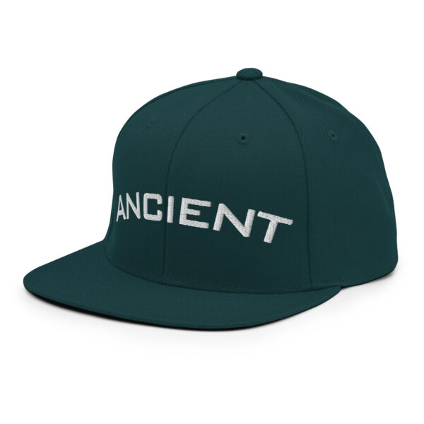 "Ancient" (Psalms 77:5) Snapback Hat - Image 35